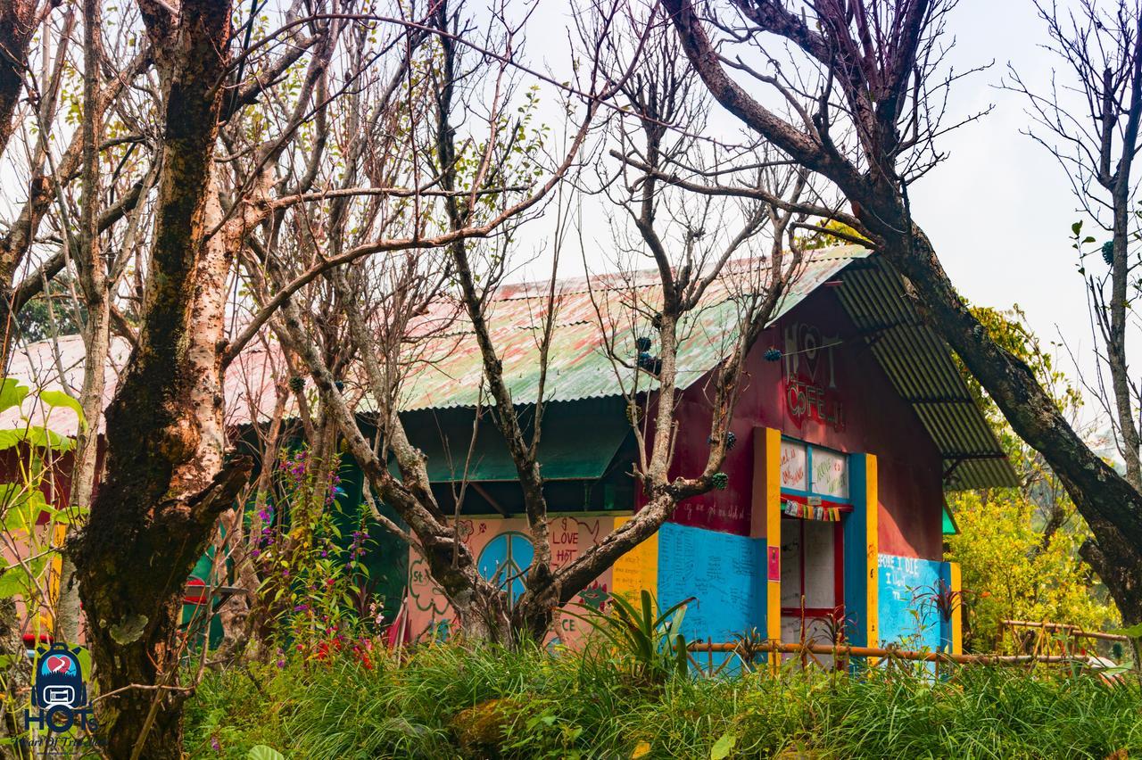 Hots Nainital Hostel Patwa Dunga ภายนอก รูปภาพ