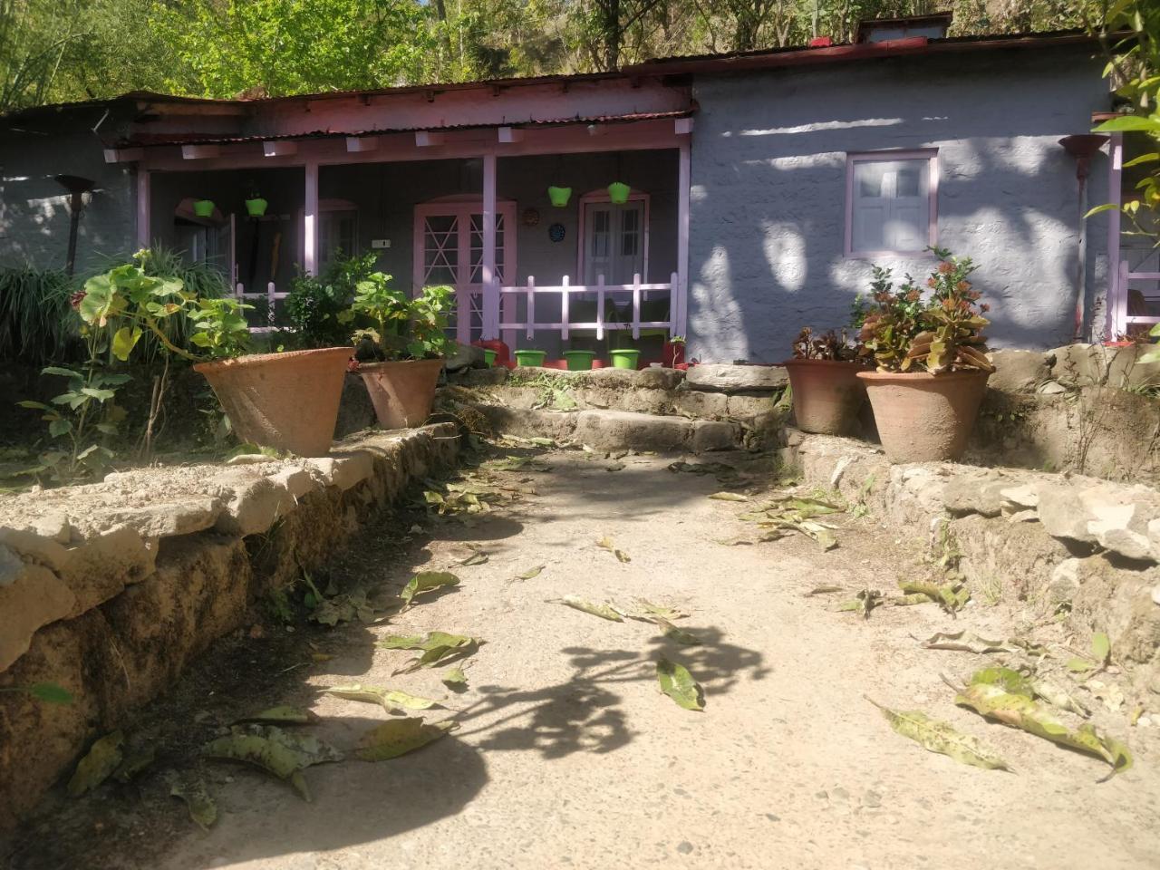 Hots Nainital Hostel Patwa Dunga ภายนอก รูปภาพ