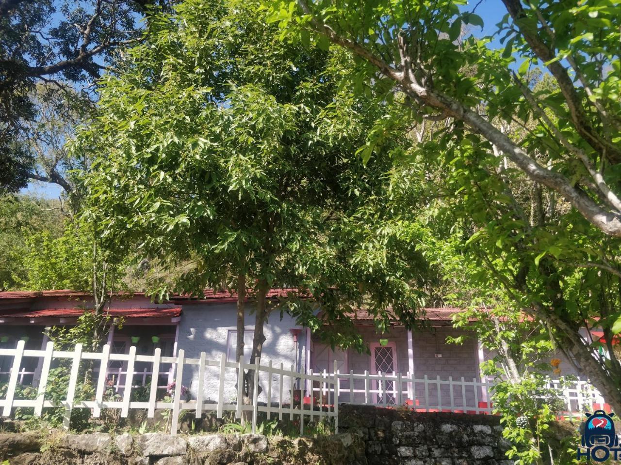 Hots Nainital Hostel Patwa Dunga ภายนอก รูปภาพ
